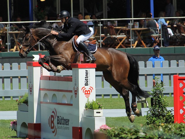 快船内线的 快船内线的