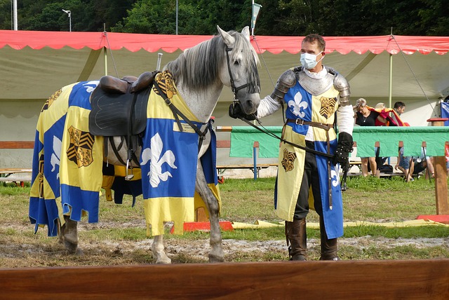 不仅是一个 不仅是一个