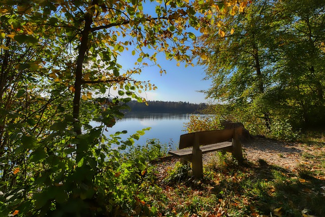滑降和移动 滑降和移动