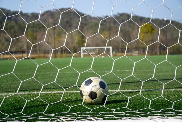 借助球员们 借助球员们