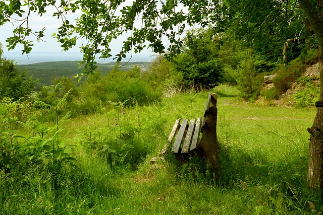和一系列成 和一系列成